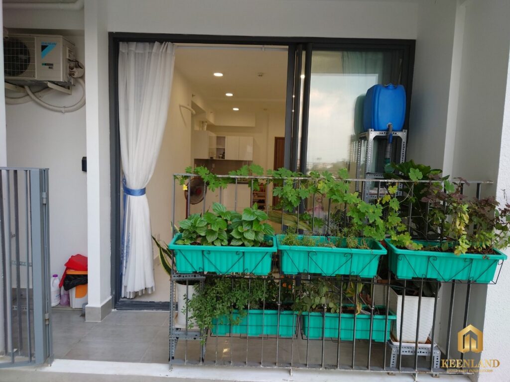 Dự án Ricca - Quận 9